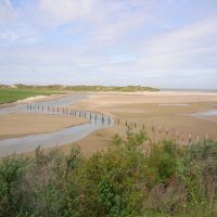 Natuurgebied het Zwin
